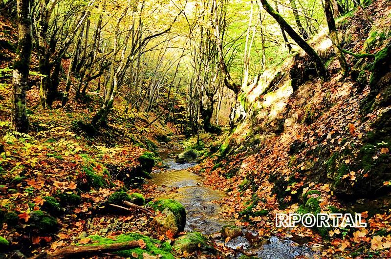 Foto: Jesen u Rami - Vi&scaron;njanski potok