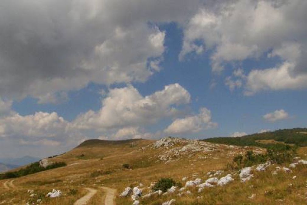 Na dana&scaron;nji dan 1992. godine