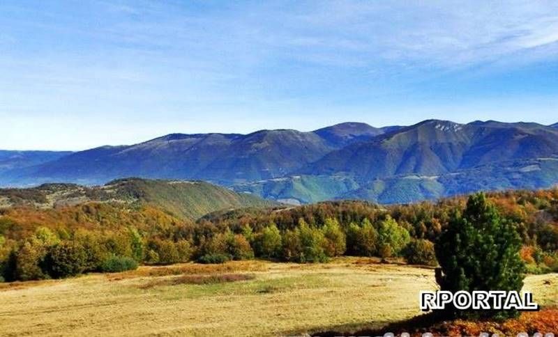 Na dana&scaron;nji dan 1993. godine