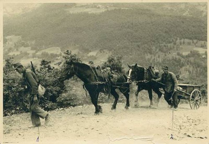 Na dana&scaron;nji dan 1878. godine