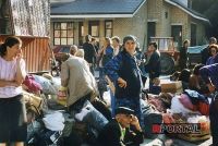 Na dana&scaron;nji dan 1993. godine
