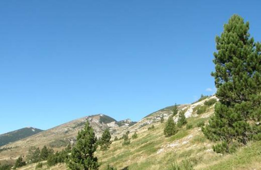 U glacijalnoj pro&scaron;losti Vran planine