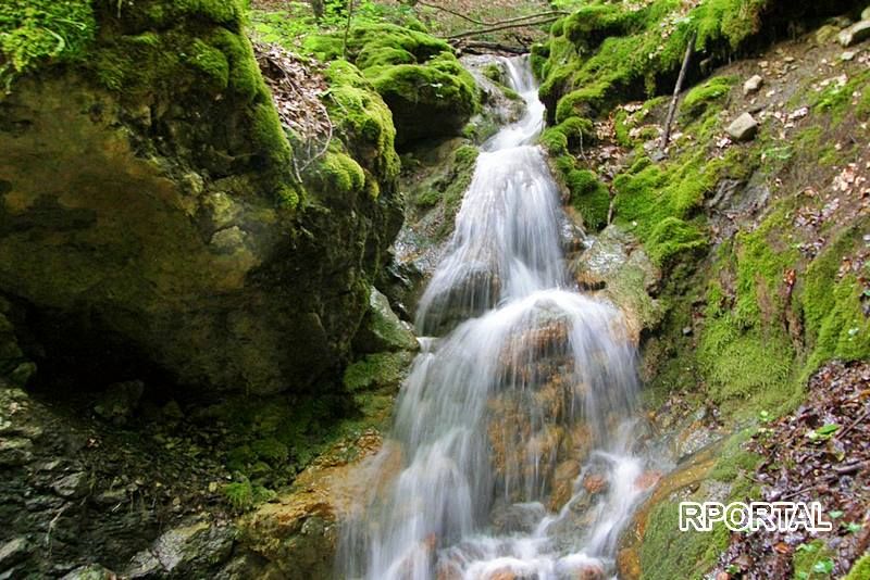 Foto: &Scaron;apat ramske divljine - Vi&scaron;njanski potok